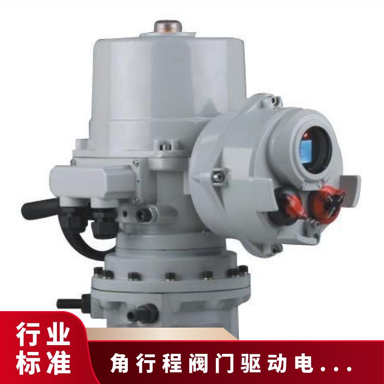 IF25/MOW8R-180 70/9-60 35/9角行程电动装置