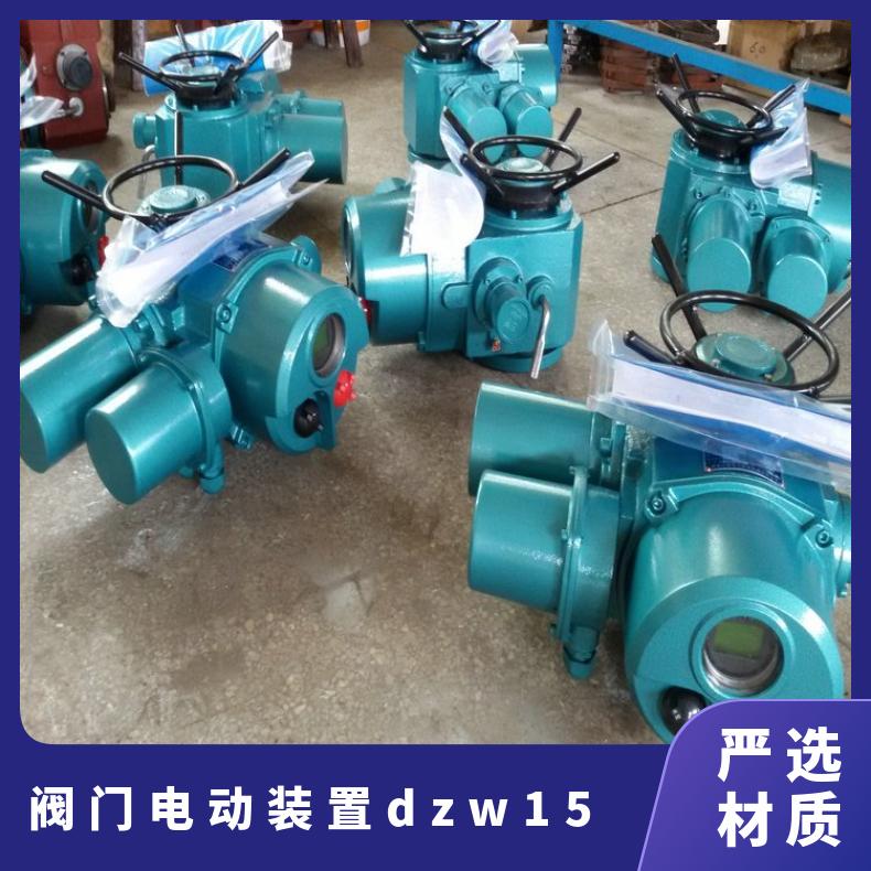 DZW阀门装置厂家DZB180250 350 电动执行器 上海蝶黔自控 法兰