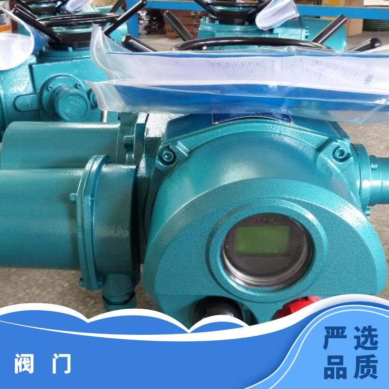DZW60-24W/Z/T 多回转电动装置 多圈执行器 阀门