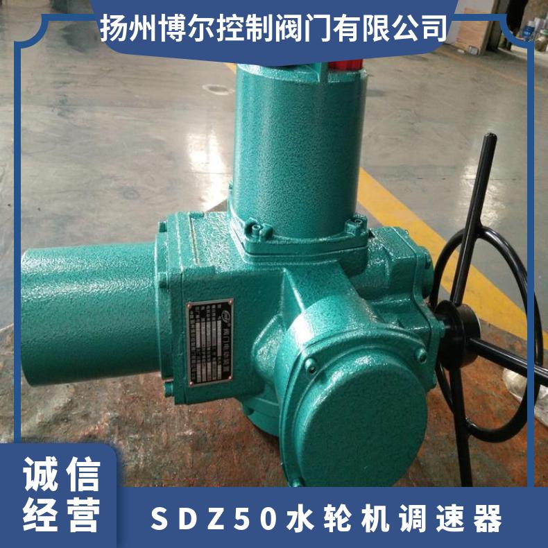 DQ150SDQ200250300水轮机电动调速器 其他博尔 ZB/QBDZBDQB