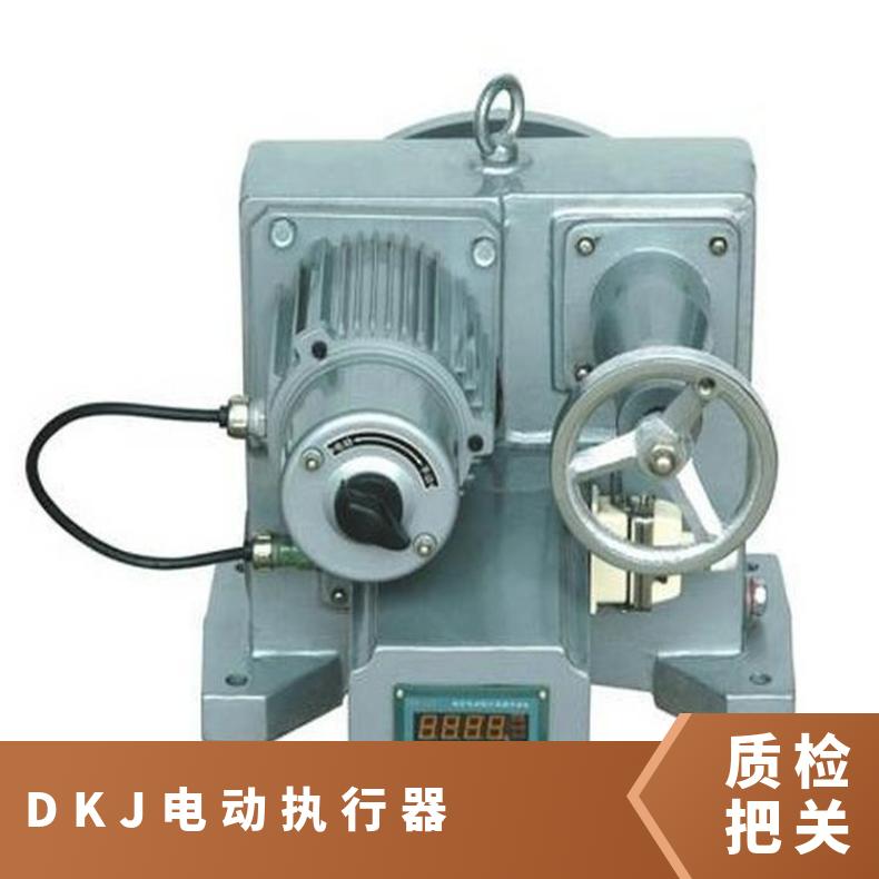 DKJ角行程电动执行器 DKJ-2100DDKJ阀门装置 3100D