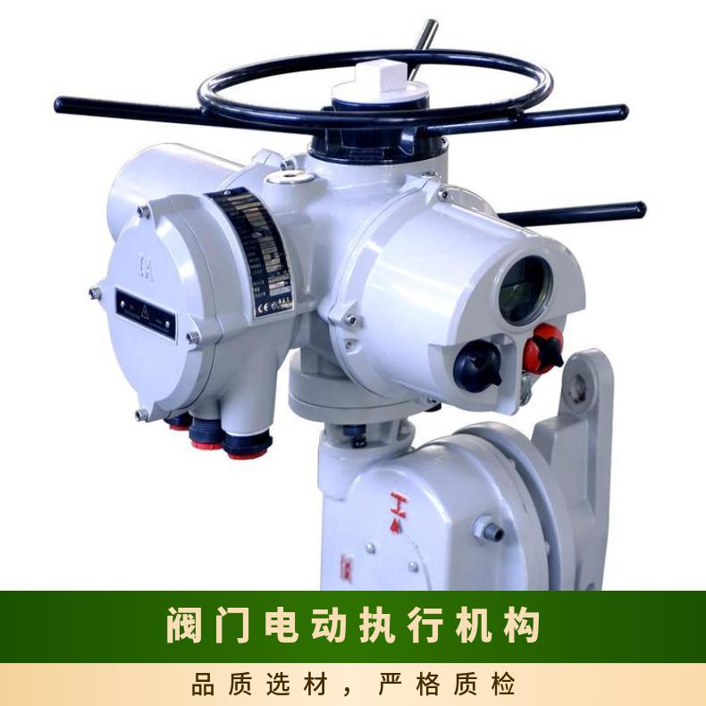 电动执行机构 IQM1025 ZB/QBDZBDQB 法兰 100-1000 其他博尔