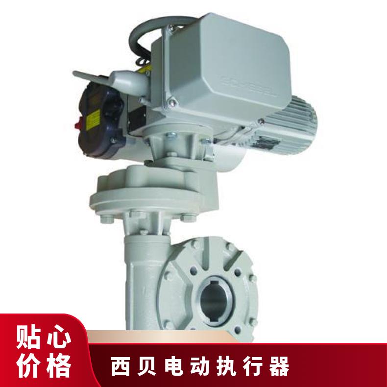 西贝执行器 西贝装置AB5Am20 8 100-1000 可以加工 法兰 其他博