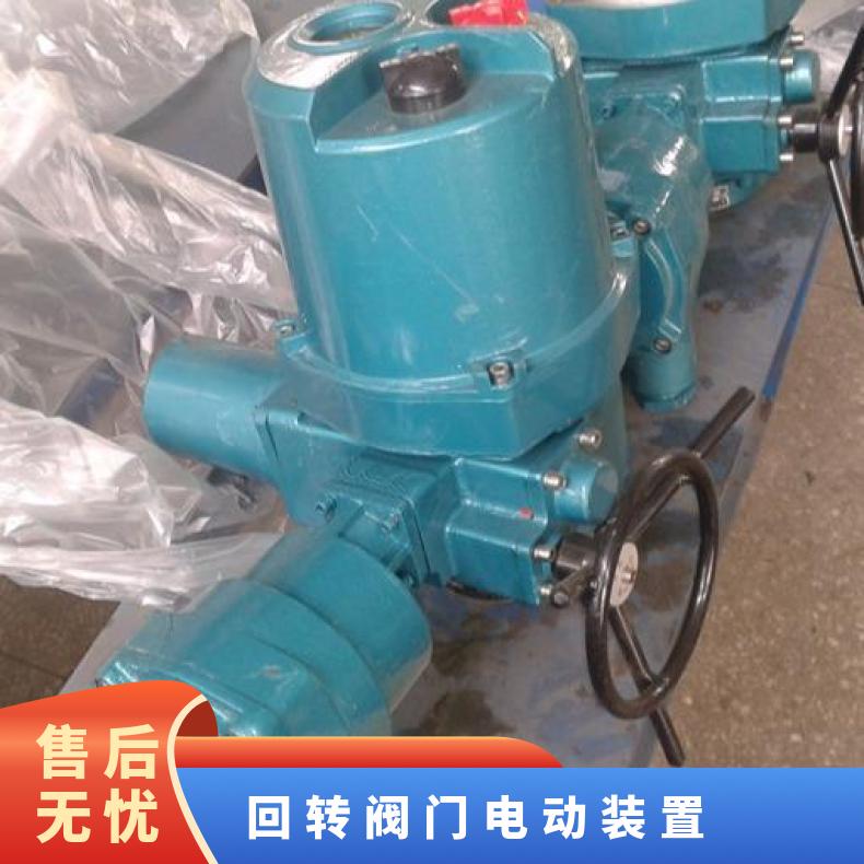 智能型部分回转电动执行器 DQW05调节型装置 角行程头