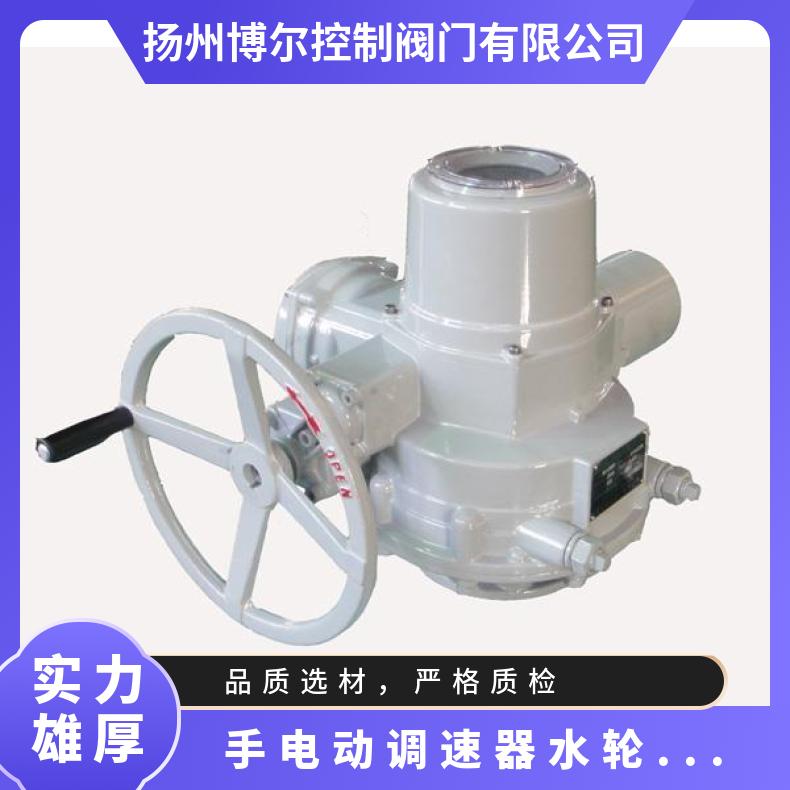 水轮机调速器 规格 -20℃~60 电动 ZB/QBDZBDQB 其他博尔