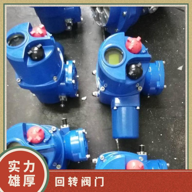 DQW250-0.5T部分回转调节型阀门电动装置 2SQ30DKJ/ZKJ 其他博尔