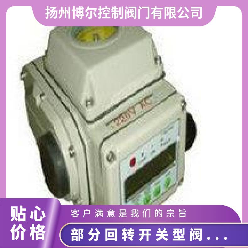 防爆型部分回转电动执行器QB120 DZW/ZWZB 其他博尔 100-1000