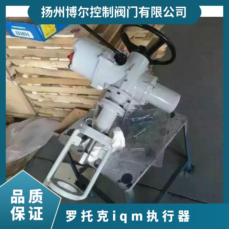罗托克IQM10FB4-IQIQT英国电动执行器 ZB/QBDZBDQB 其他博尔