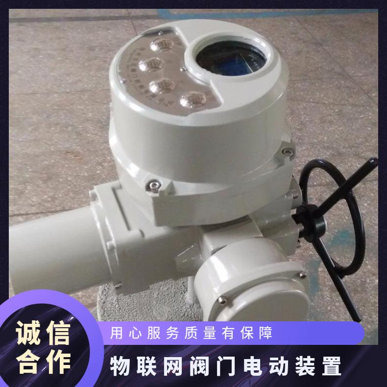 DQW 整体一体化防爆电动装置 -20℃~60 其他博尔 2SQ30DKJ/ZKJ