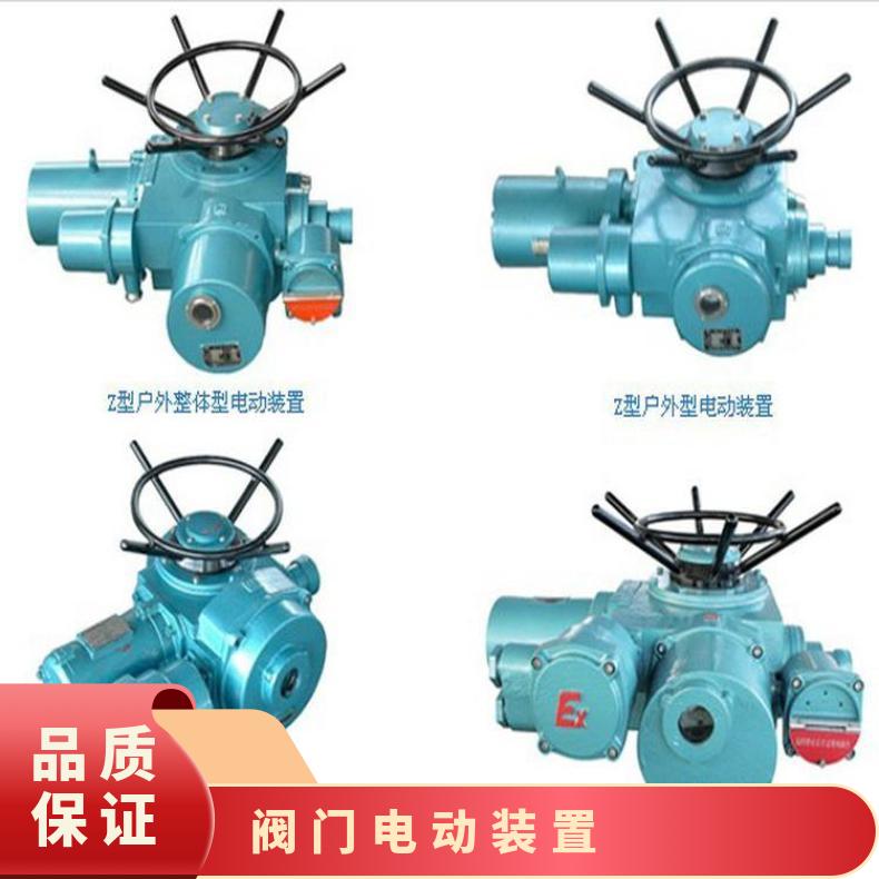 DZW60-24电动装置 Z-W执行器 2SQ30DKJ/ZKJ 法兰 其他博尔