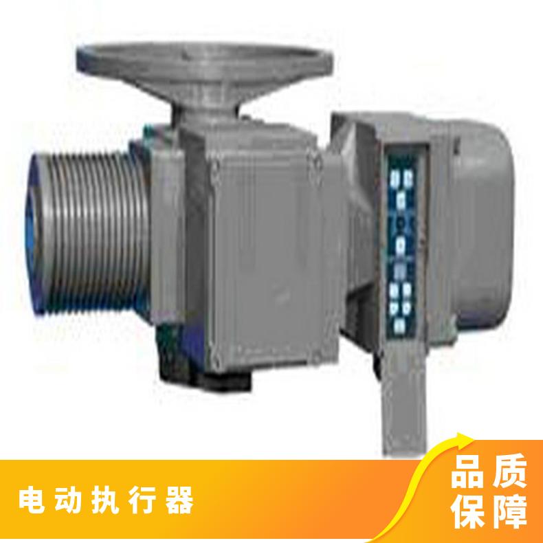 2SA3021 2302 3智能型电动执行器 法兰 2SQ30 其他博尔 100-1000