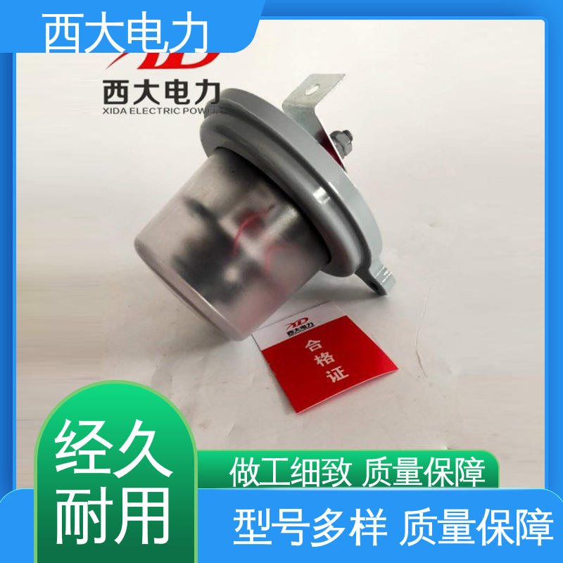 型号和资质齐全 JCQ-10/800型 放电计数器在线监测仪 西大电力