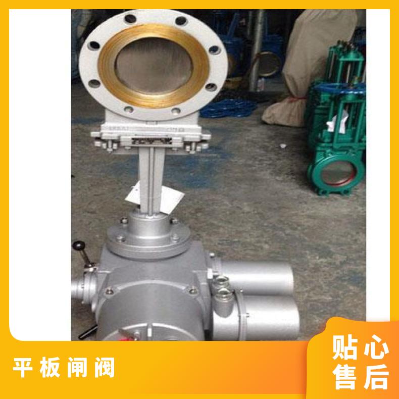 Z941H-16C DN100铸钢法兰式电动闸阀 -20℃~60 上海蝶黔