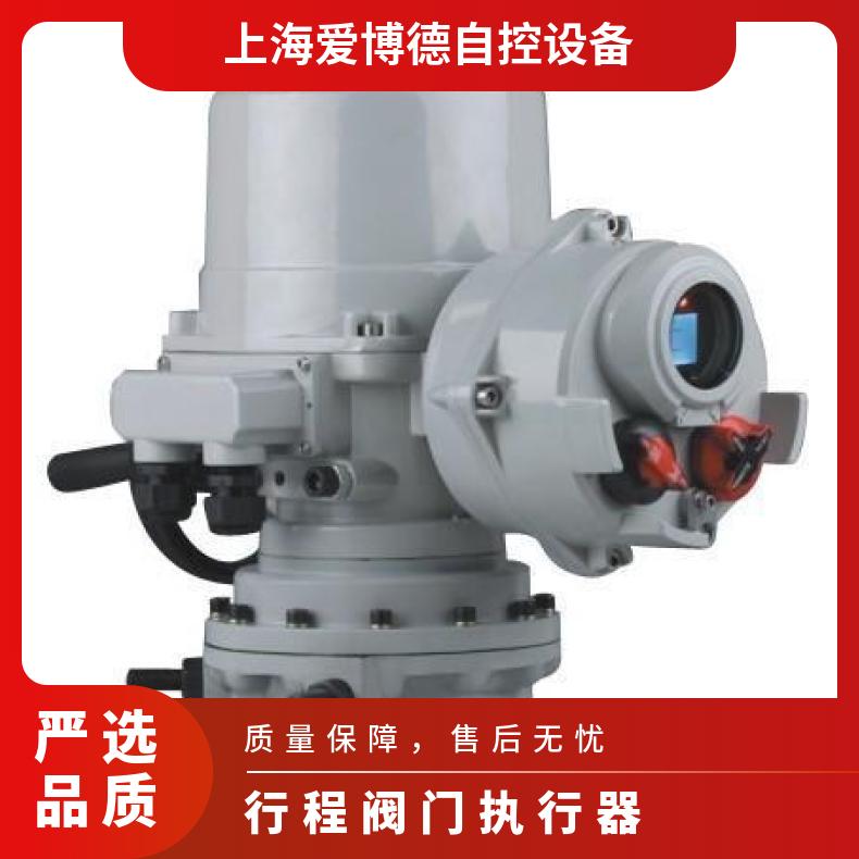 IF95/MOW12R-120 /160角行程罗托克执行器