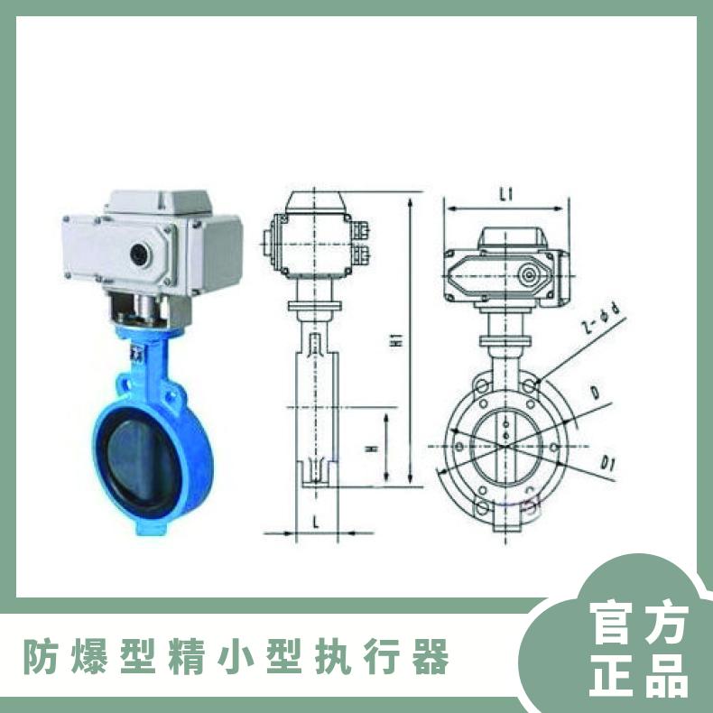 电动执行器 EOT100/160250 05 蝶黔 4-20 控制器