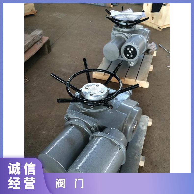 Z20多回旋阀门电动执行器-DZW-18D-W户外型装置
