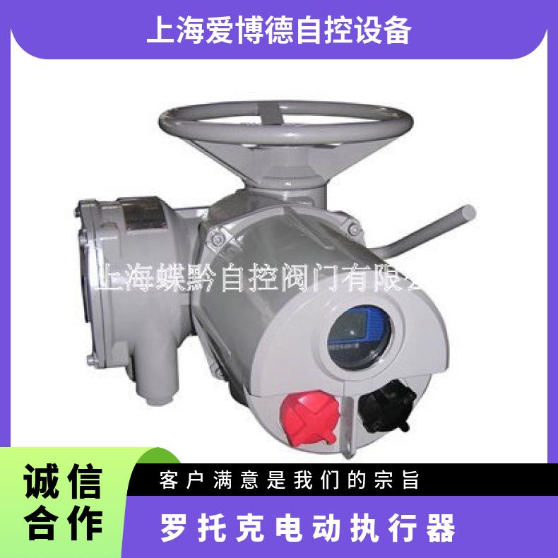 罗托克电动执行器 罗DQZKIQM器 罗DQZKIQ器整机