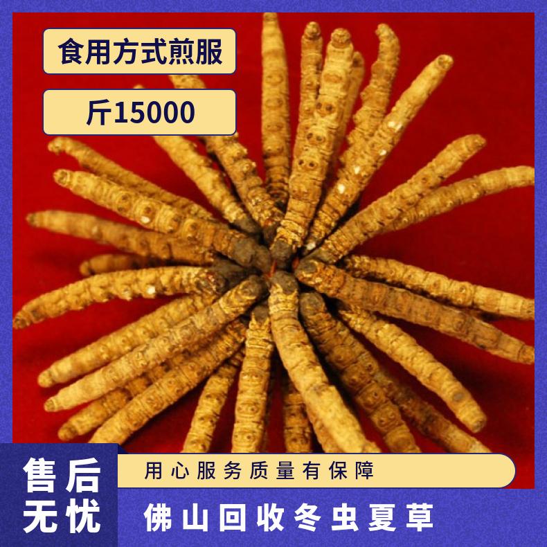 佛山回收冬虫夏草实体店 诚信收购虫草燕窝海参礼品 广粤商行