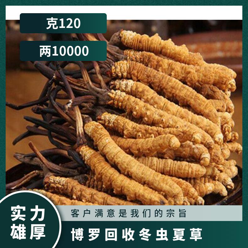 博罗回收冬虫夏草高价收购茅台酒洋酒红酒 回收虫草燕窝