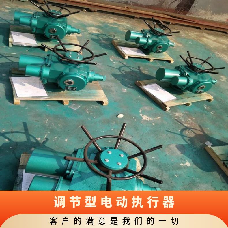 液晶显示屏多回转调节型电动执行 可以加工 其他博尔 DZW/ZWZB