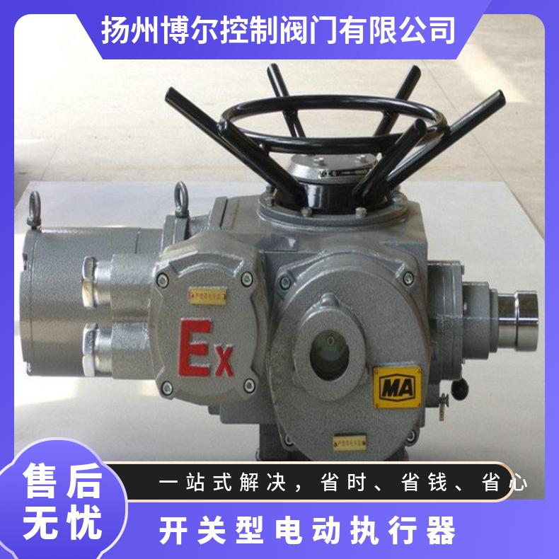 ZB10防爆阀门驱动装置 开关型闸阀电动执行器 -18头