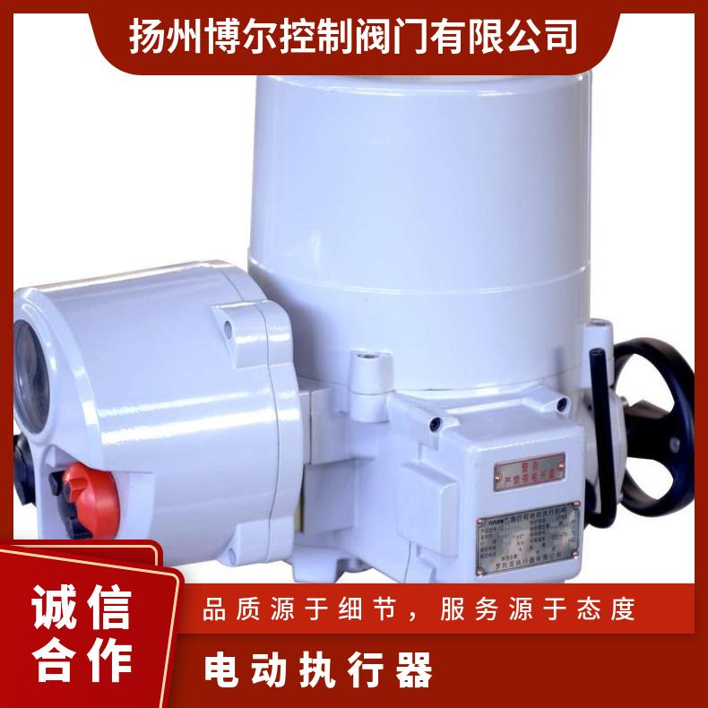 伯纳德BS-60F30H智能角行程电动执行器 其他博尔 ZB/QBDZBDQB