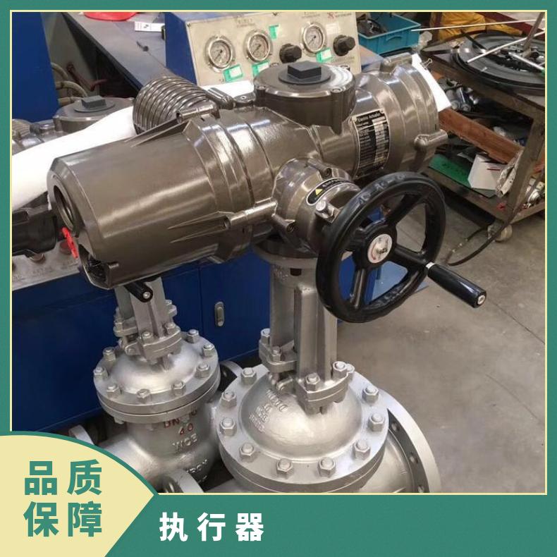 罗托克IQC系列电动执行器 10/IQTC250执行机构