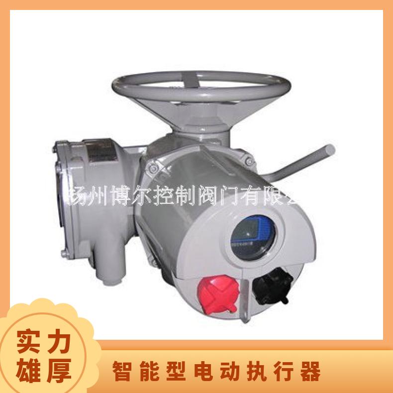 LK25智能型电动执行器 装置40执行机构 是 博尔电装 50kg