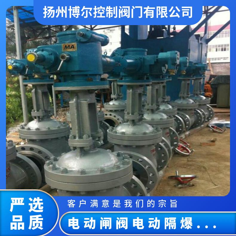 电动闸阀Z941H-10P DN50 ZP 65 ZB/QBDZBDQB 法兰 其他博尔