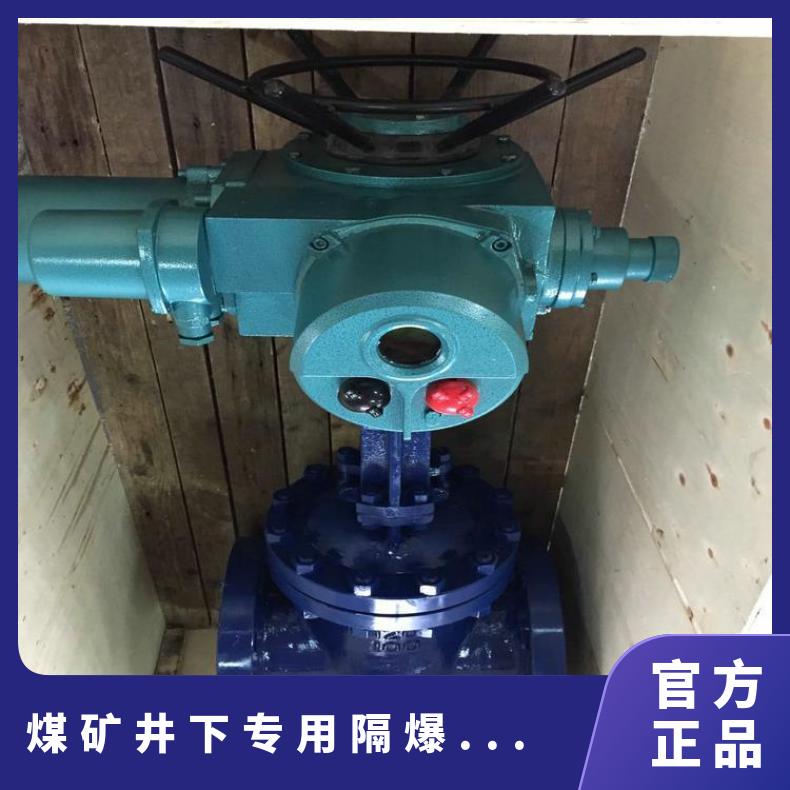 MZ941H矿用隔爆型电动闸阀 660V防爆闸阀 煤矿井下闸阀