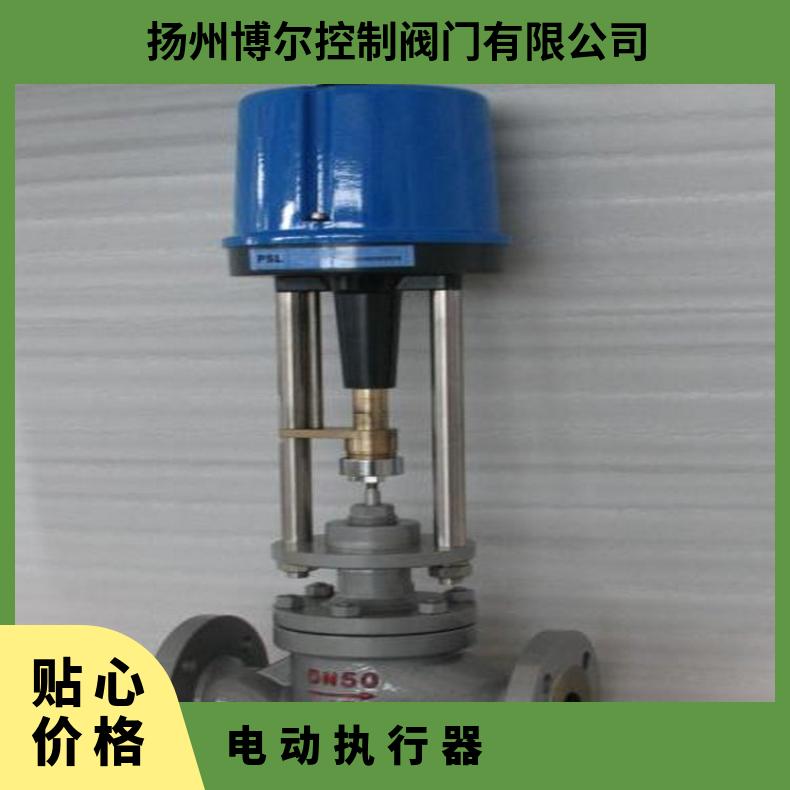 ZRSP(M)精小型电子式电动单座套筒调节阀 DZW120-18W/z 博尔电装