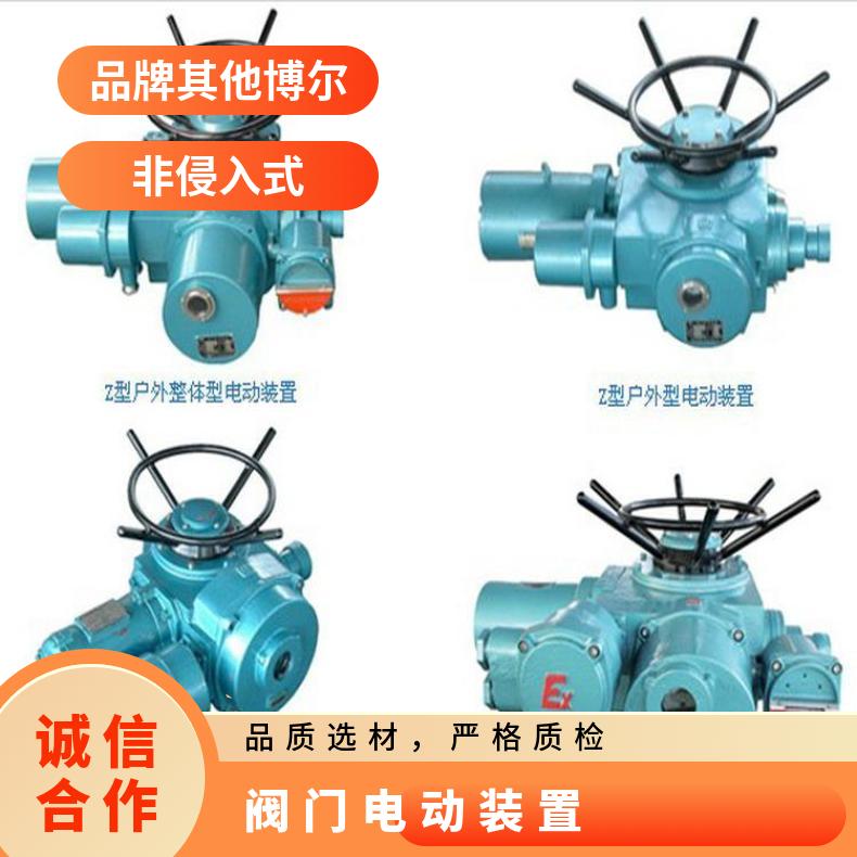 DZW120-24非侵入式电动装置 Z-智能型执行器