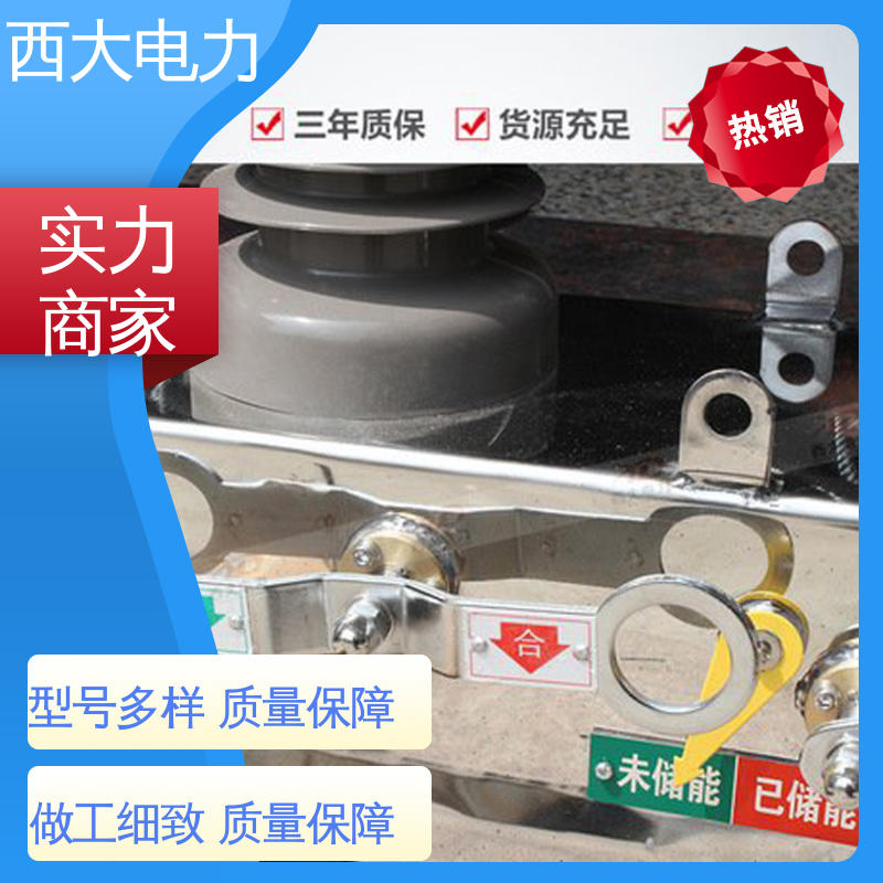 轻巧耐用 安装灵活 户外高压真空断路器 西大电力