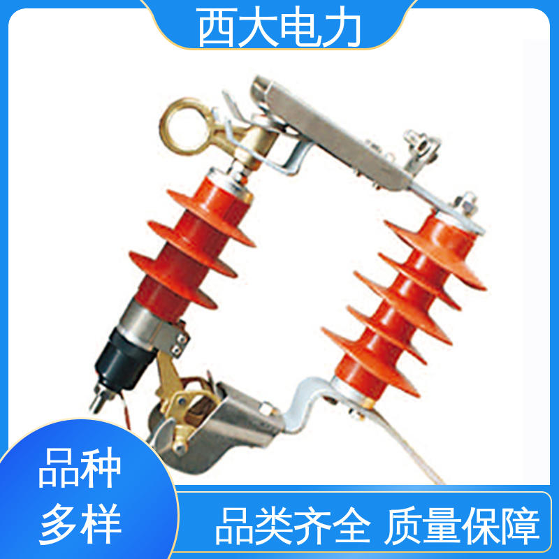 高压跌落式防雷器 体积小 重量轻 50DL-TB 西大电力