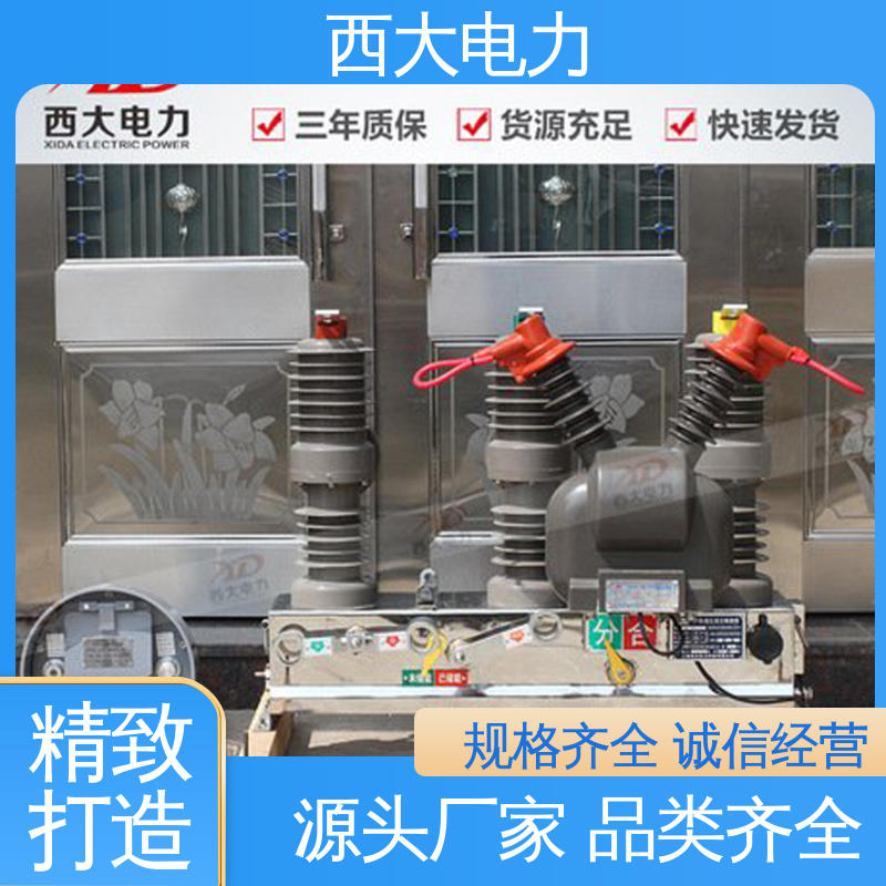 支持根据图纸定做 ZW32-24F/630A 真空断路器 西大电力