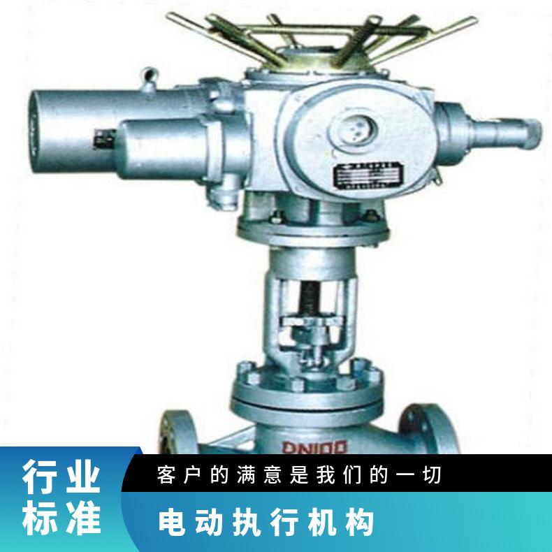 DZW30-36户外型电动执行器 多回转普通型装置