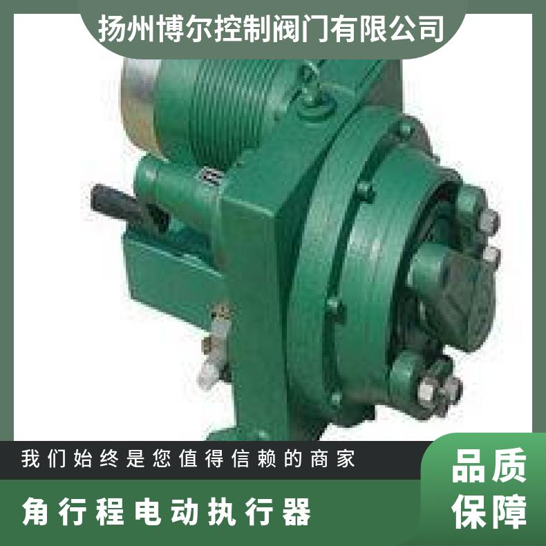 博尔DKJ-B隔爆型电动执行机构 部分回转执行器 角行程头模块