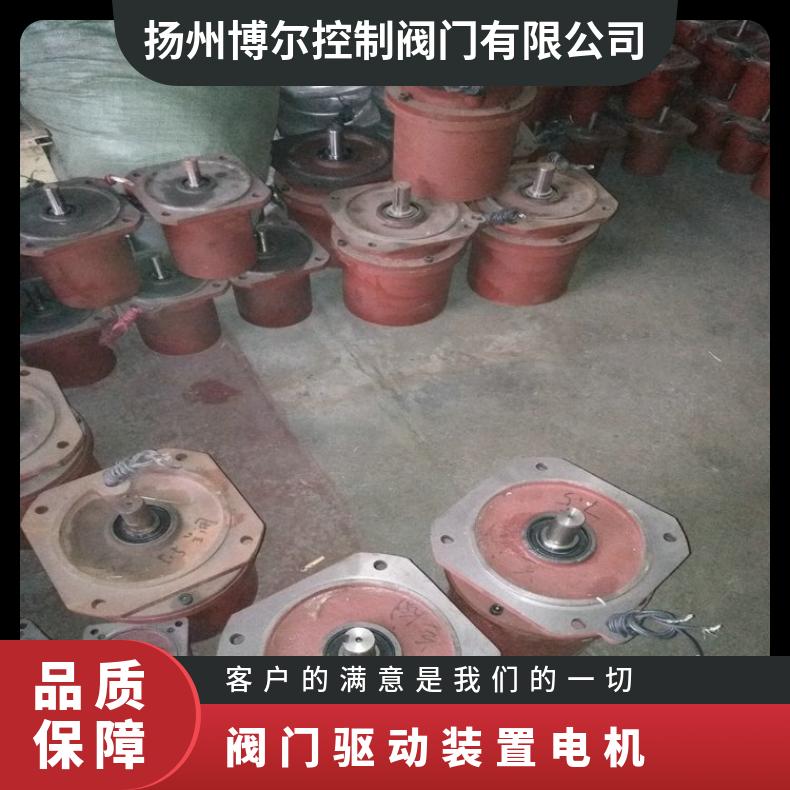 阀门电动装置防爆电机YBDF-WF-0214 111 DZW120-18W/z 博尔电装