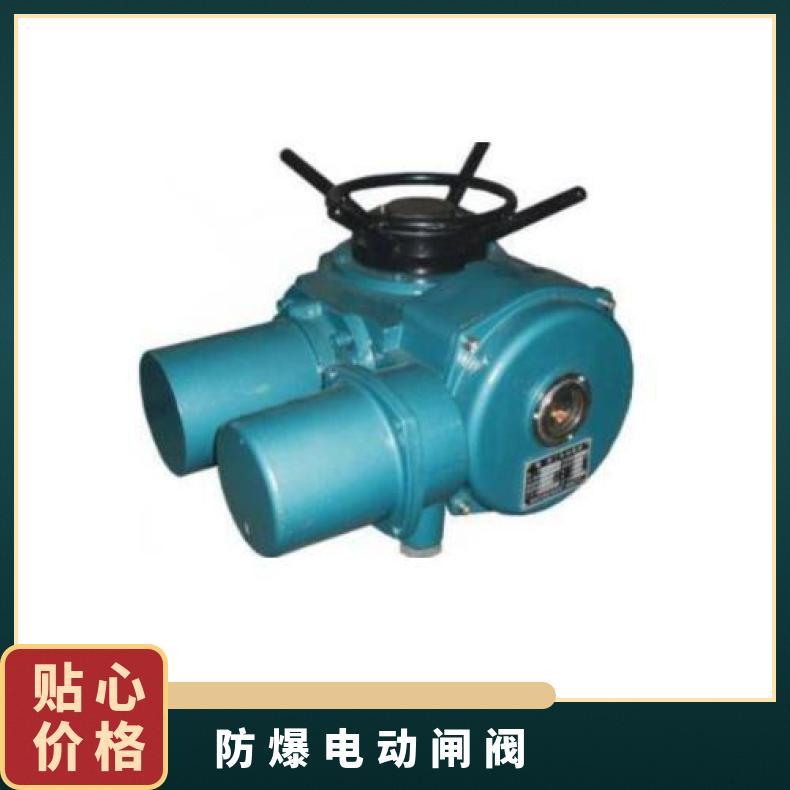 智能防爆电动装置ZB90-24/Z 120-/Z 180-/Z 250-/Z