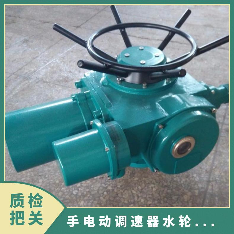 博尔SDZ10-SDZ15/20/30/水轮机手电动调速器