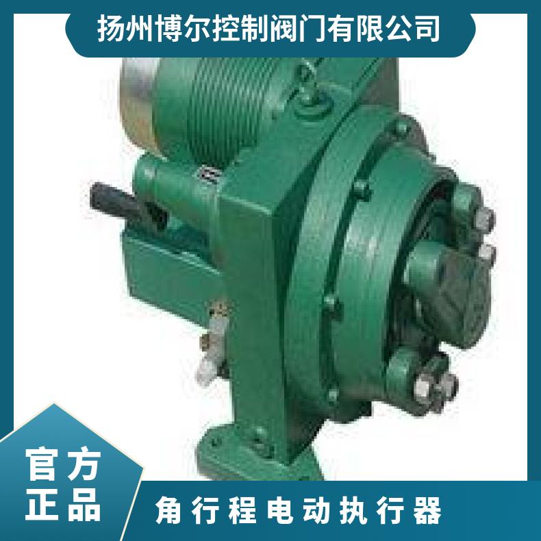 博尔DKJ-210 310 410 381D电动执行器 智能型执行机构