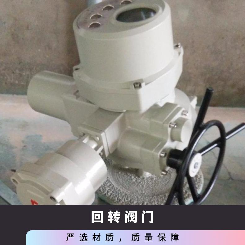 380V部分回转电动装置DQW20-1 2SQ30DKJ/ZKJ 可以加工 其他博尔