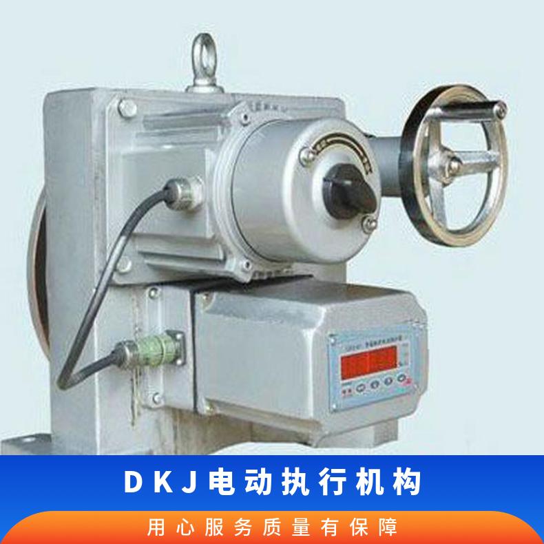DKJ-2100DM 3100阀门电动执行机构 其他博尔 2SQ30DKJ/ZKJ 法兰