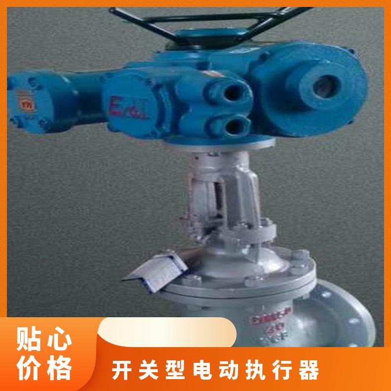 15型开关防爆电动执行器 660V装置 其他博尔 DZW/ZWZB 法兰