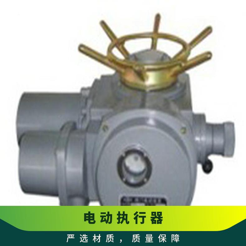 闸门启闭机电动执行器 DZW30智能型电动装置