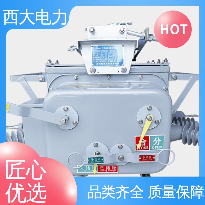 ZW20-12F/630 安全稳定 支持定制 户外柱上高压真空断路器 西大电力