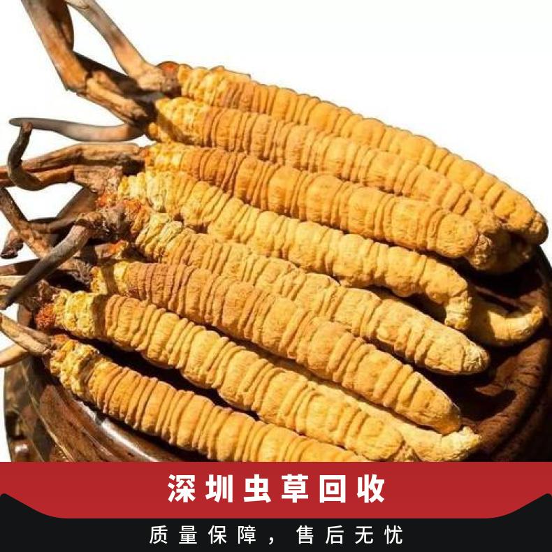 深圳福田那曲虫草回收行情 收购各种品牌虫草系列 礼盒装散装均可