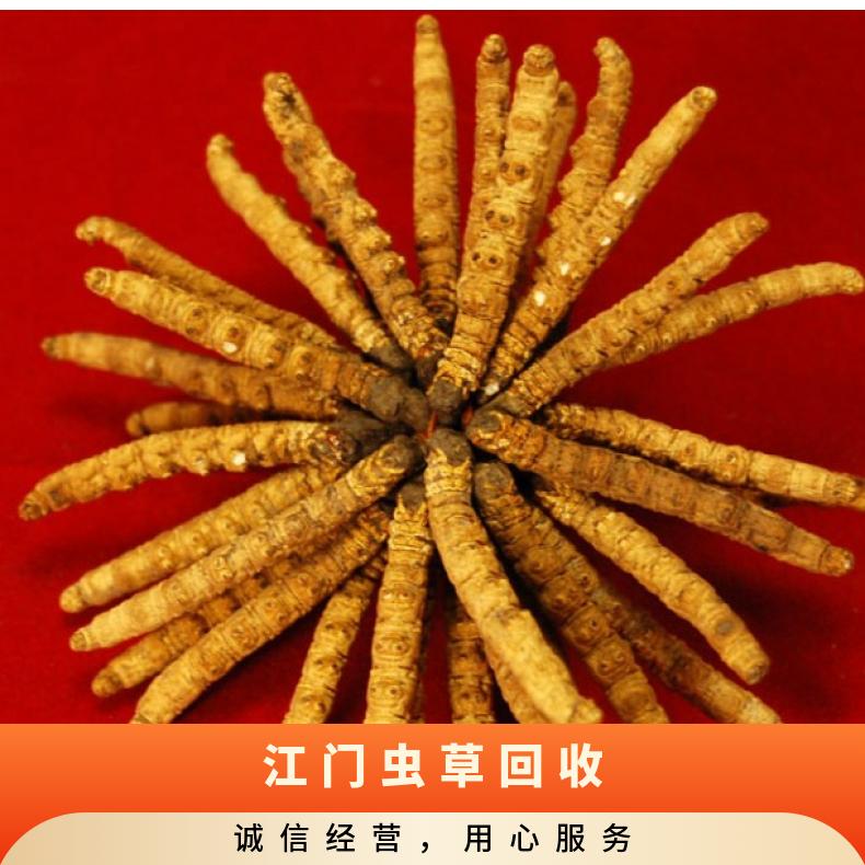 江门回收虫草 免费上门鉴定收购礼盒装 散装虫草 广粤商行