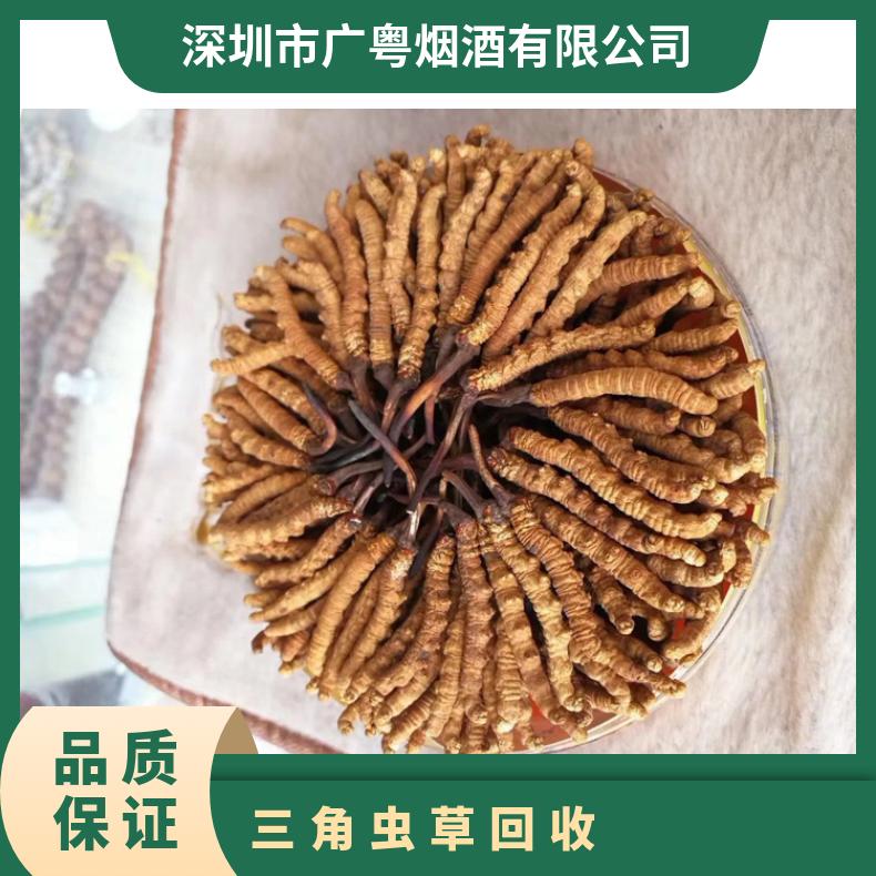 三角虫草回收上门商行 长期收购礼盒装 散装福临门冬虫夏草