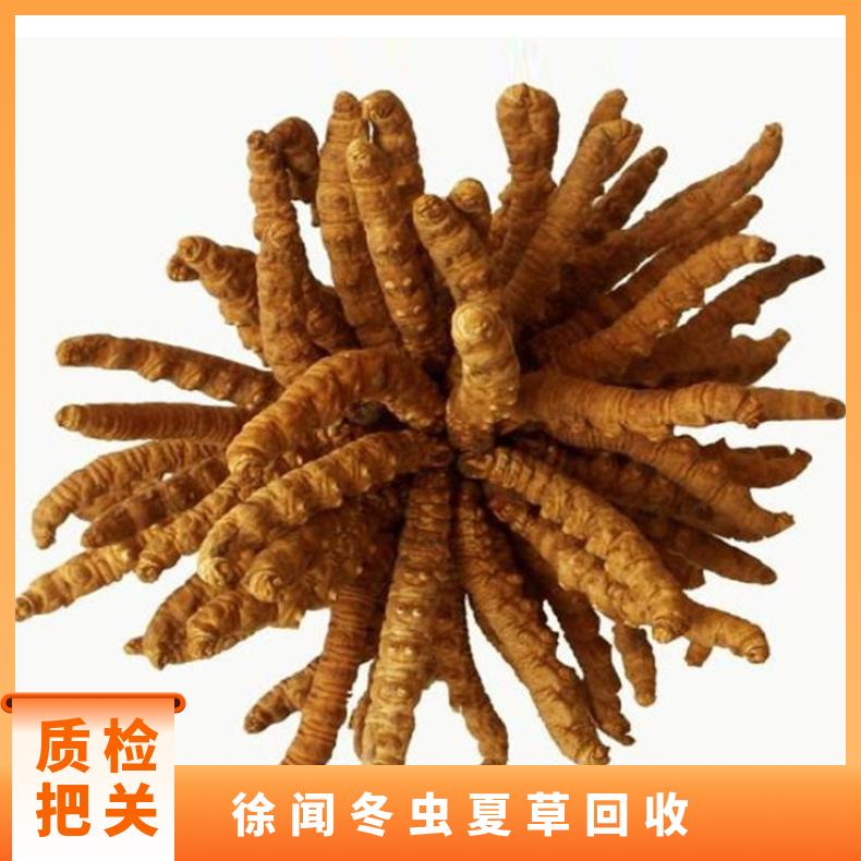 徐闻冬虫夏草回收正规店铺 长期收购礼盒装散装虫草燕窝 免费上门